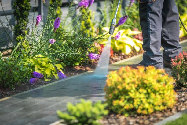 Best Boat and Dock Cleaning  in Combined Locks, WI